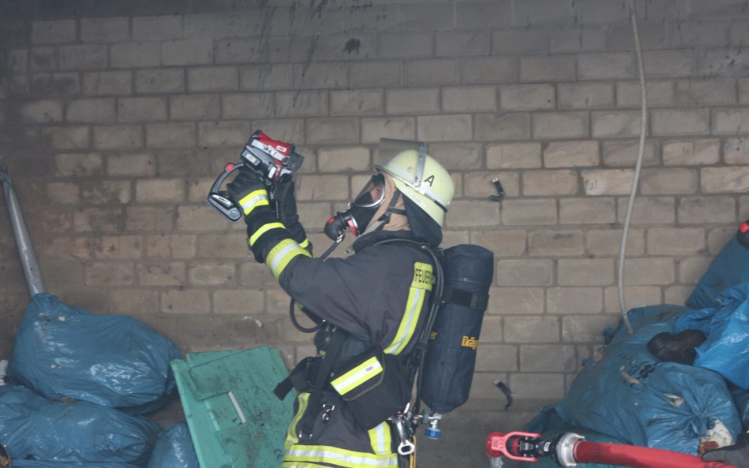 Dinas Damkar Landak Evakuasi Ular di Pelabuhan