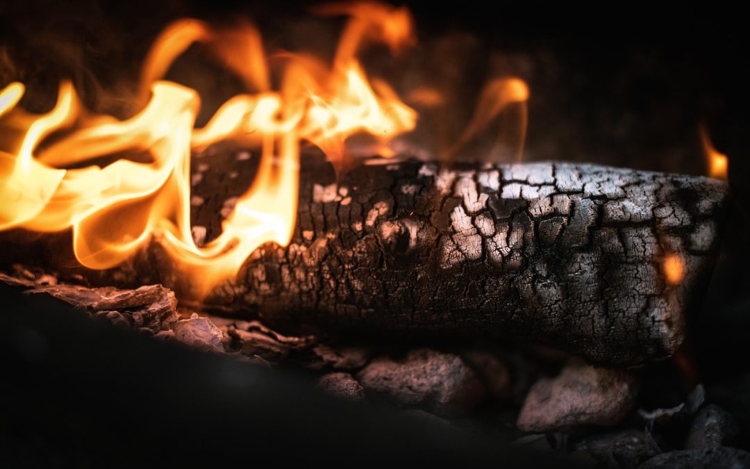Pembersihan Drainase di Hutan Kota